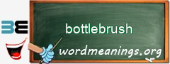 WordMeaning blackboard for bottlebrush